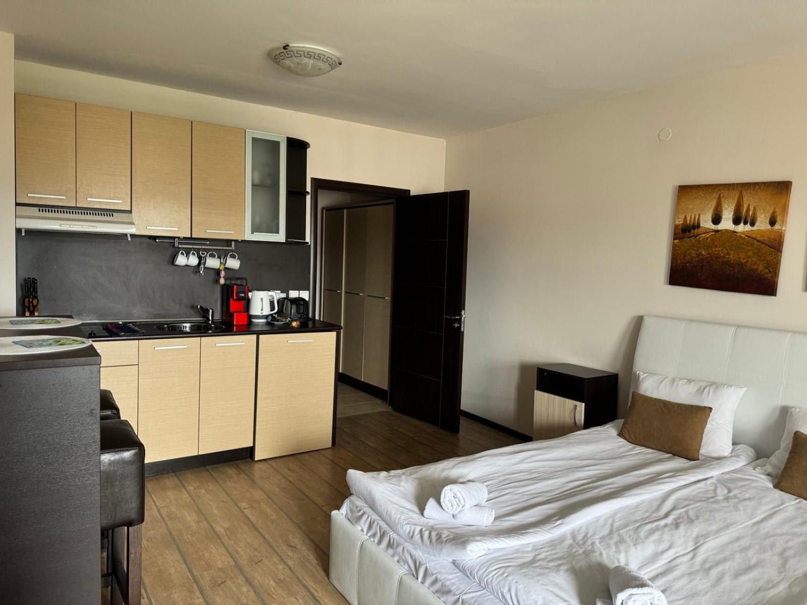 Alpine Lodge Bansko Apartments Kültér fotó