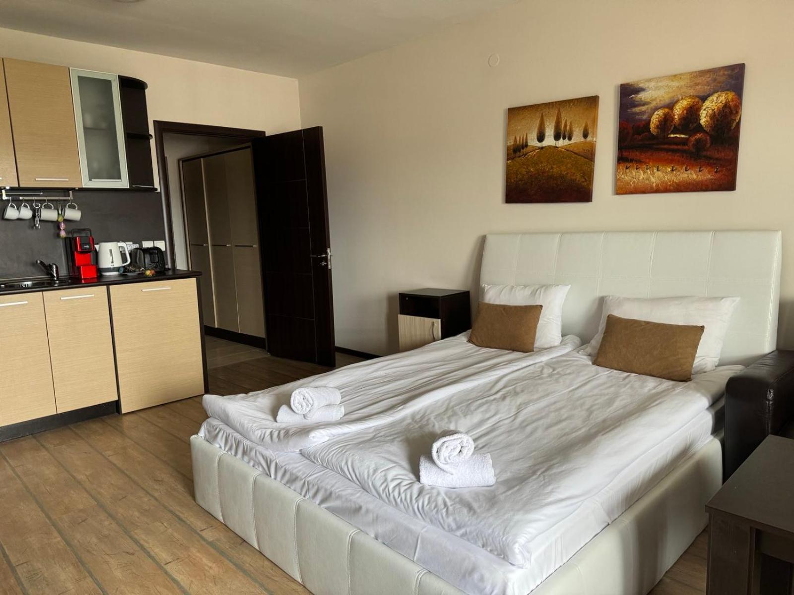 Alpine Lodge Bansko Apartments Kültér fotó