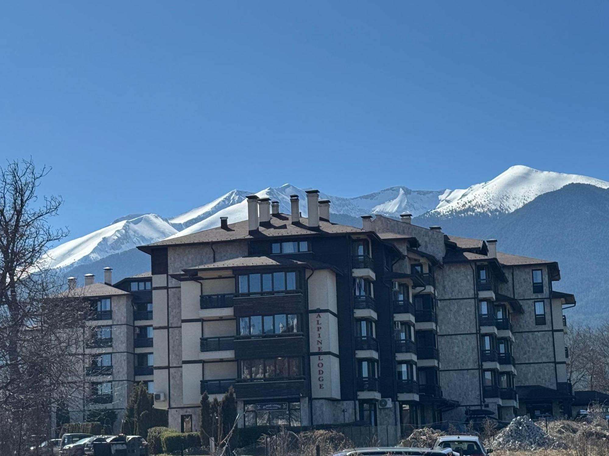 Alpine Lodge Bansko Apartments Kültér fotó